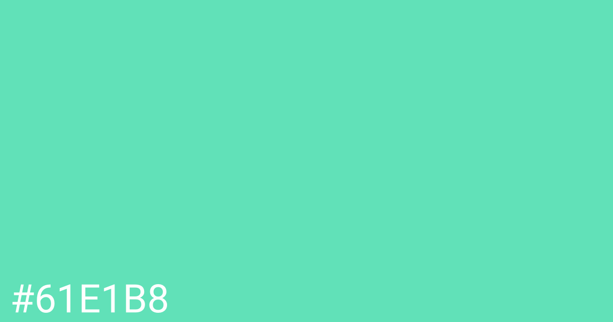 Hex color #61e1b8 graphic