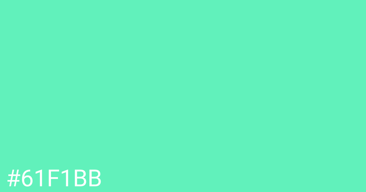 Hex color #61f1bb graphic