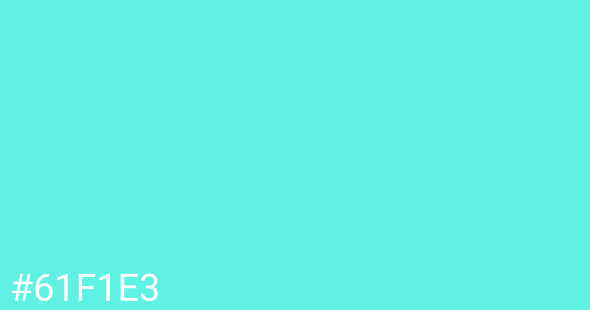 Hex color #61f1e3 graphic