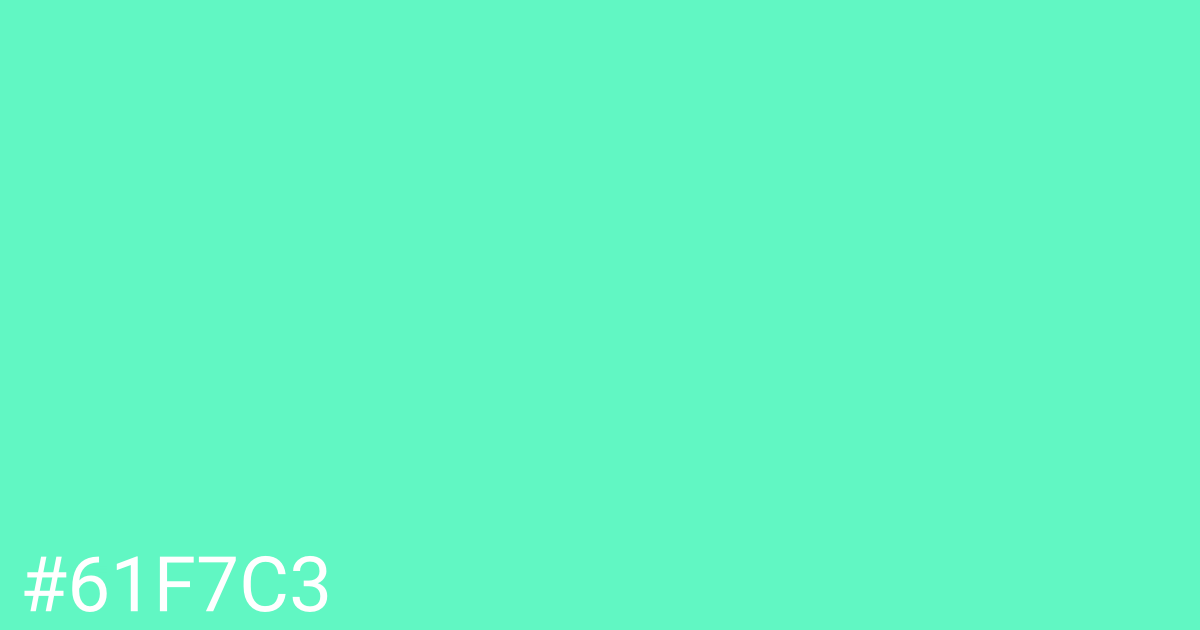 Hex color #61f7c3 graphic