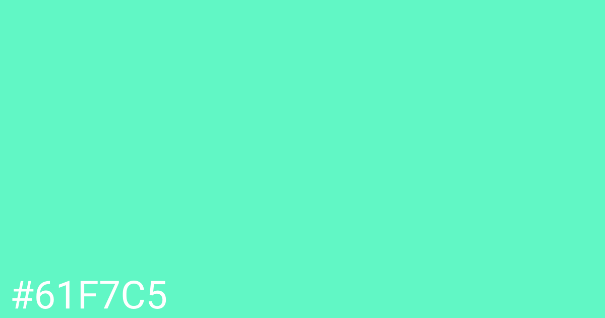 Hex color #61f7c5 graphic