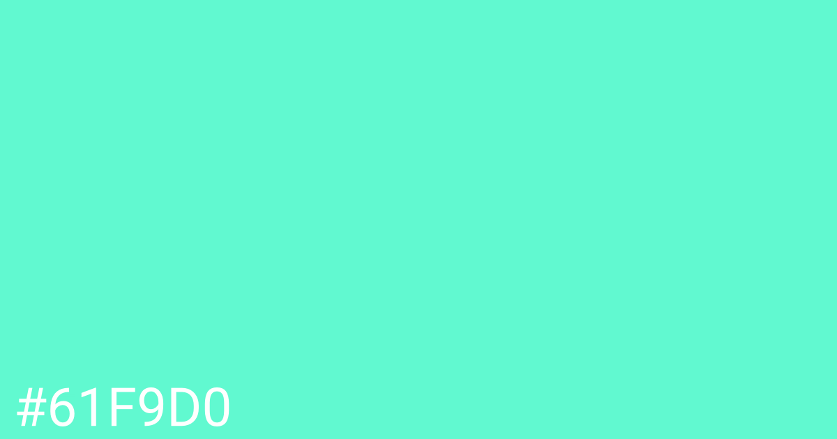 Hex color #61f9d0 graphic