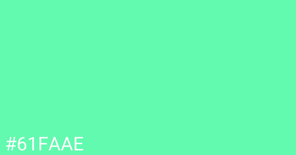 Hex color #61faae graphic