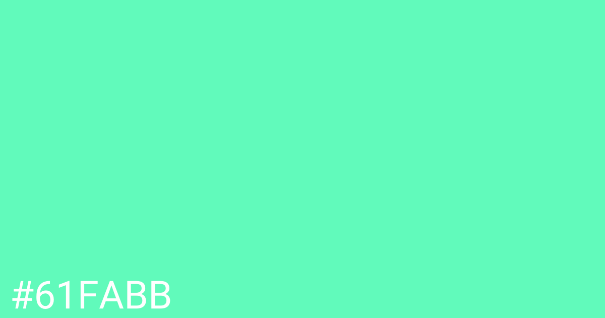 Hex color #61fabb graphic