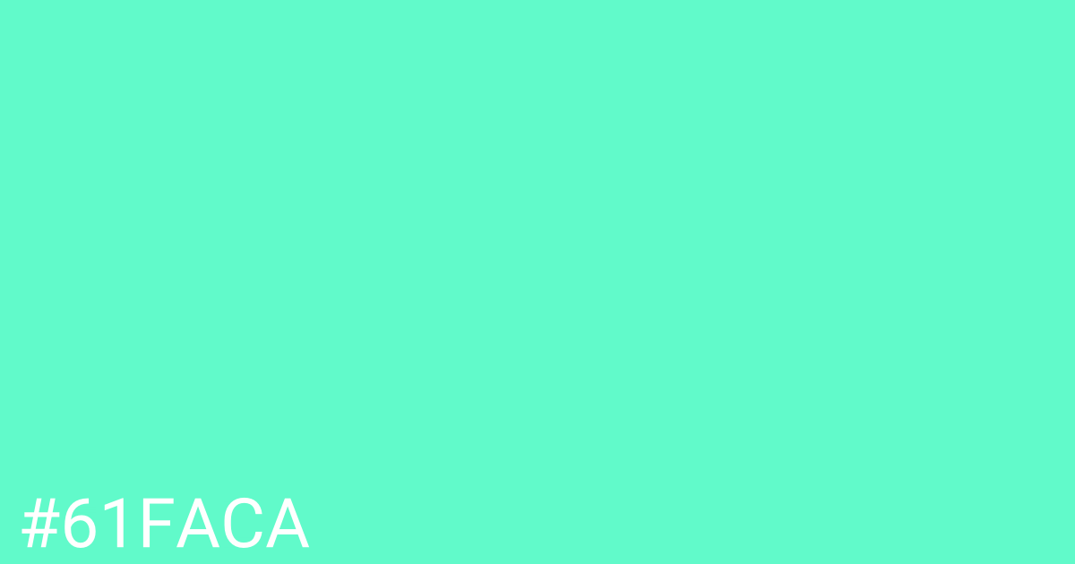 Hex color #61faca graphic