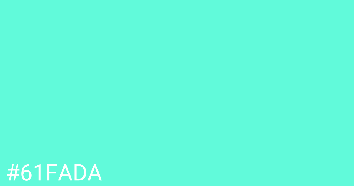 Hex color #61fada graphic