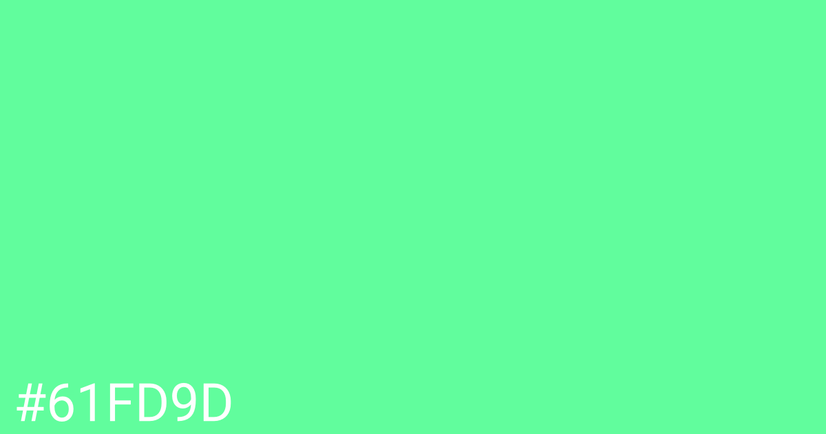 Hex color #61fd9d graphic