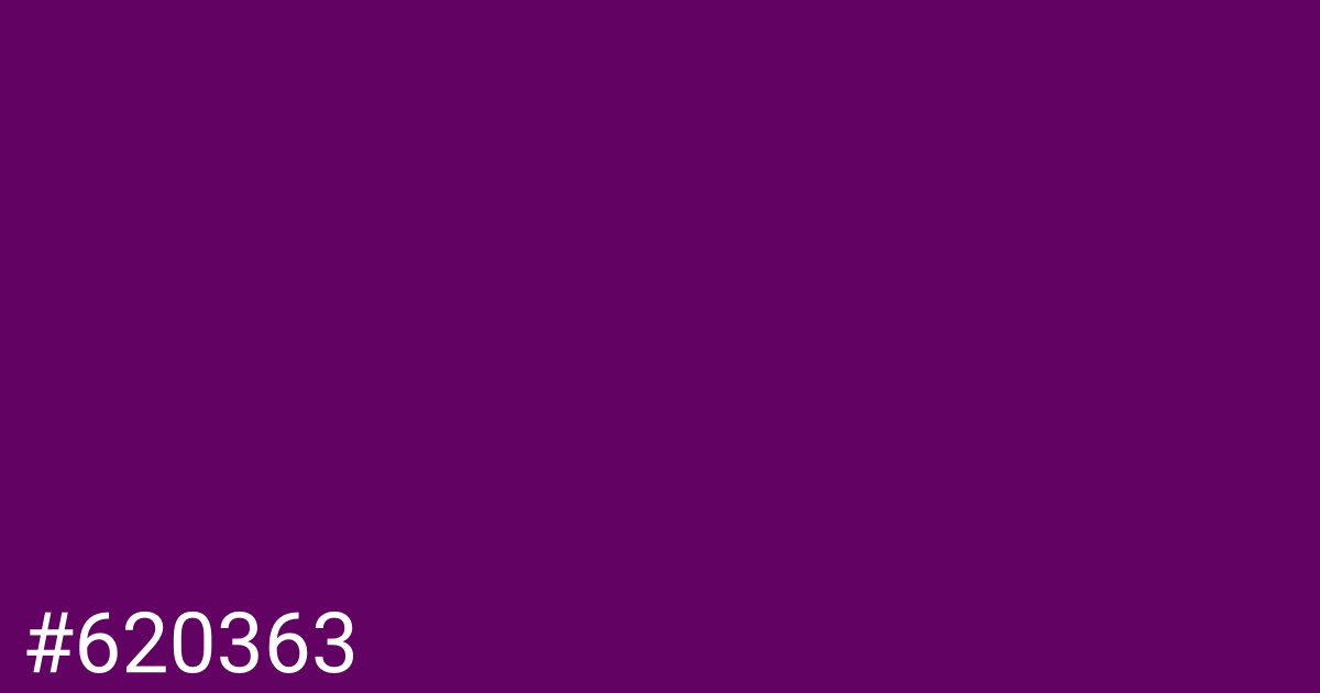 Hex color #620363 graphic