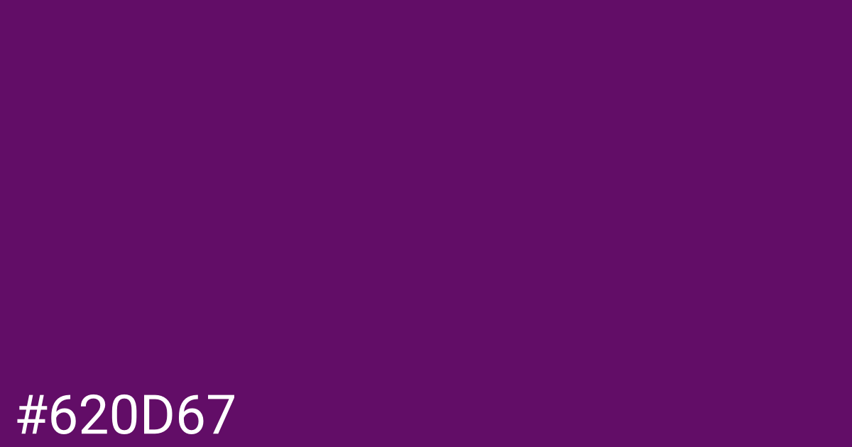 Hex color #620d67 graphic