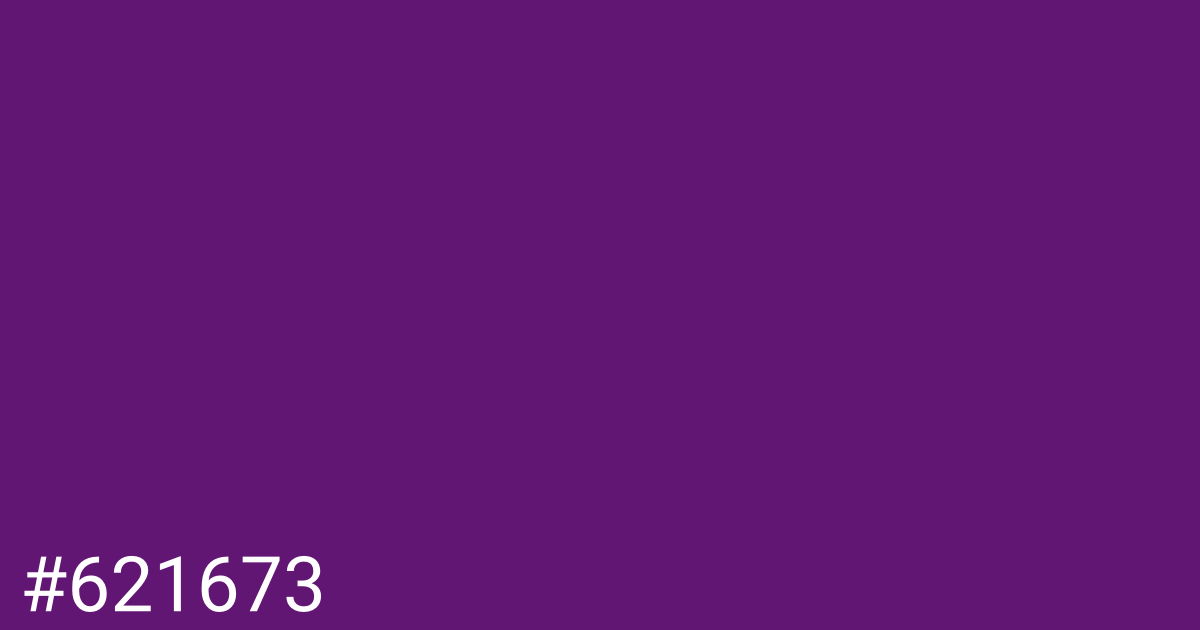 Hex color #621673 graphic