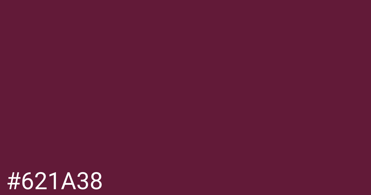 Hex color #621a38 graphic