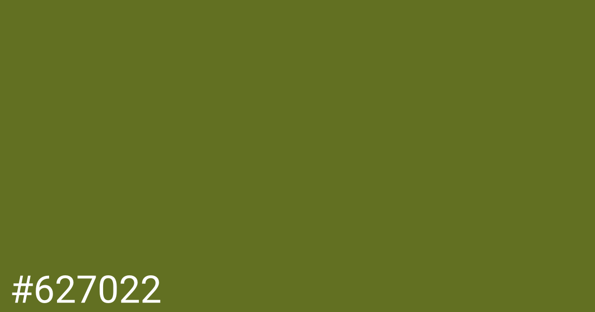 Hex color #627022 graphic