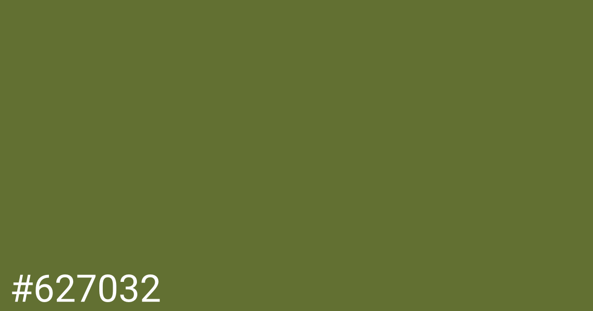 Hex color #627032 graphic