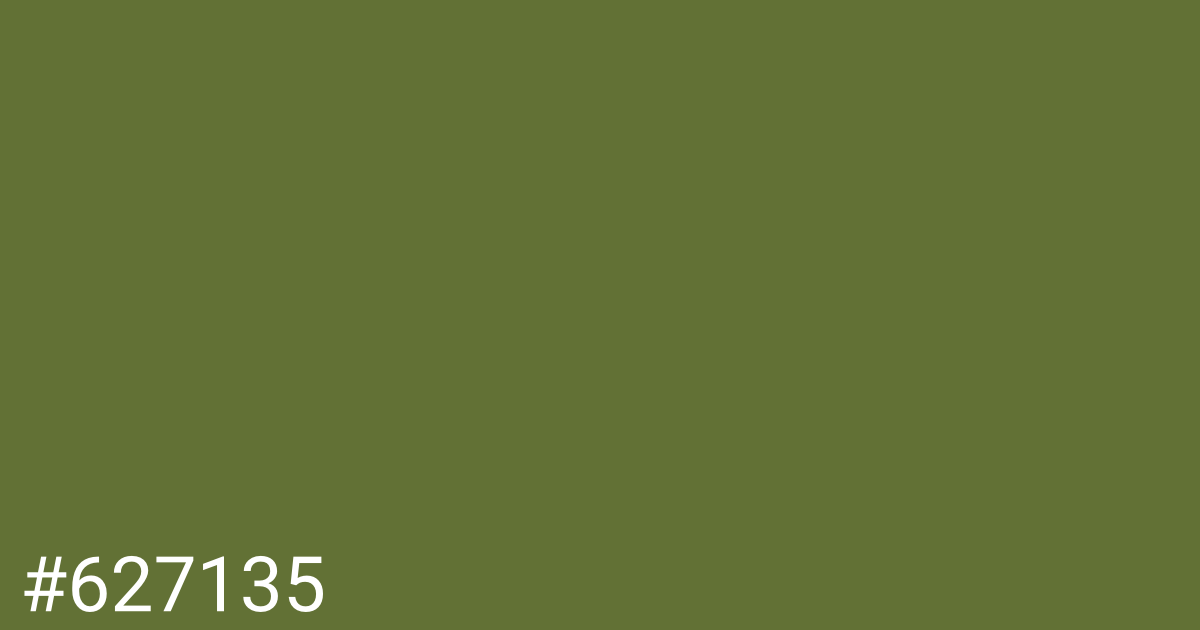 Hex color #627135 graphic