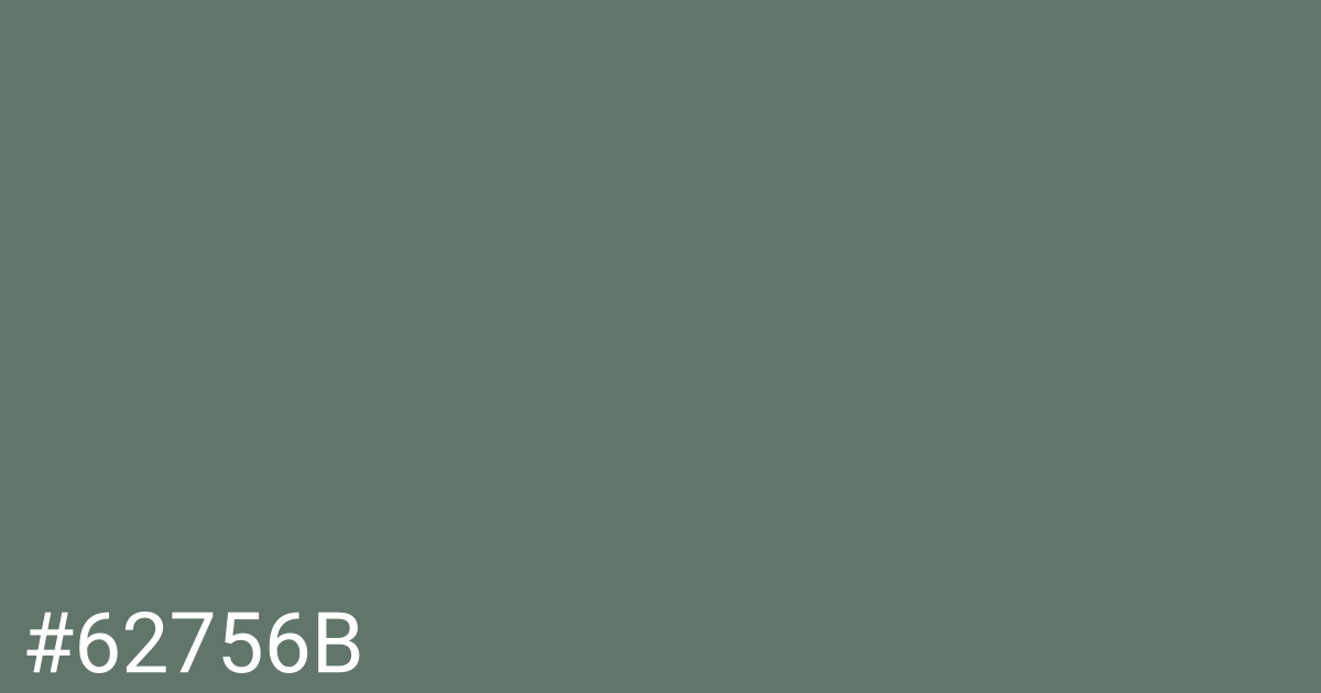 Hex color #62756b graphic