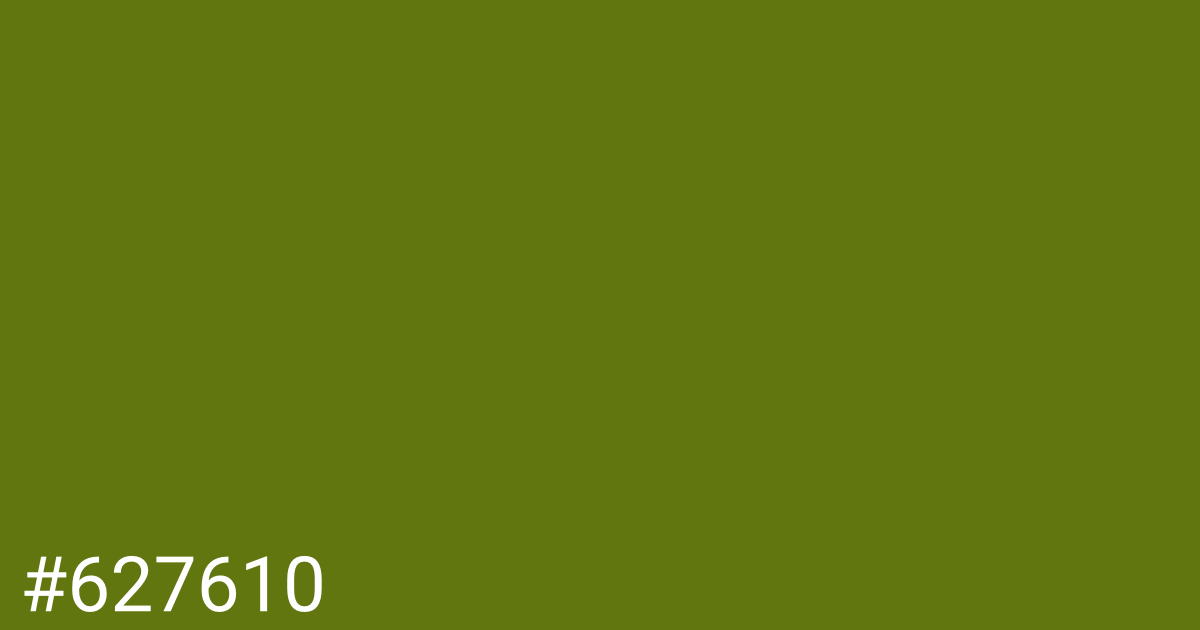 Hex color #627610 graphic