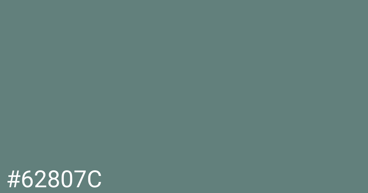 Hex color #62807c graphic