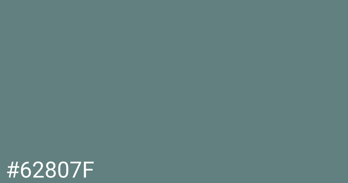 Hex color #62807f graphic