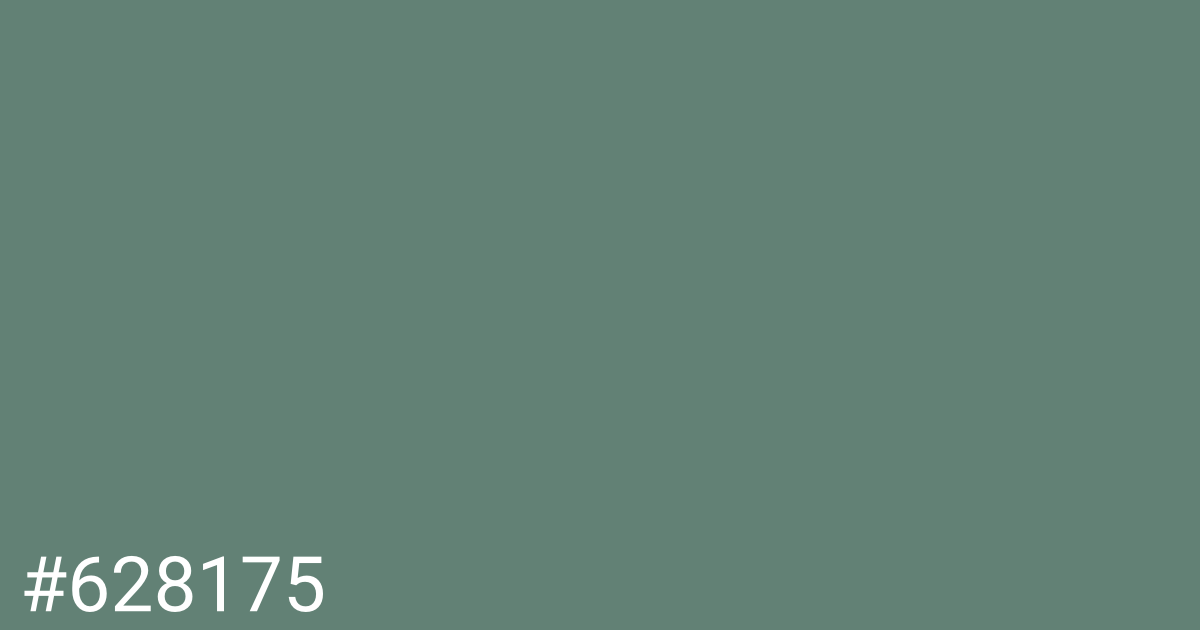 Hex color #628175 graphic