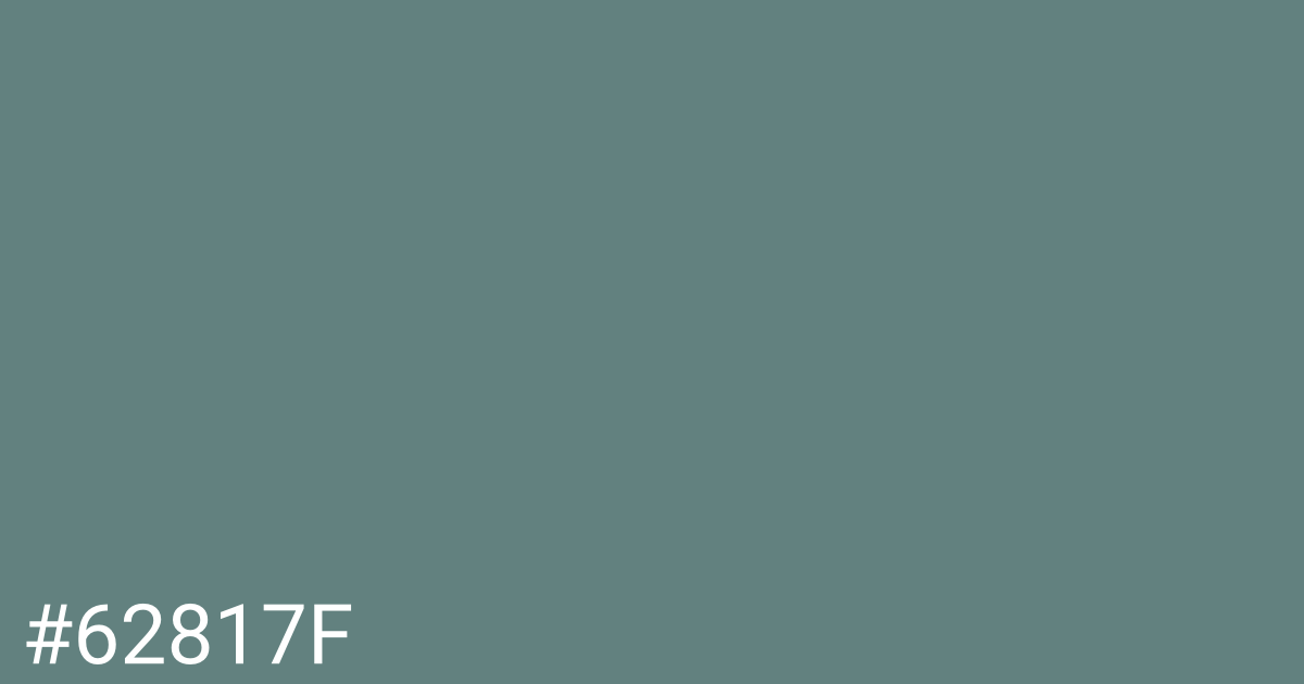 Hex color #62817f graphic