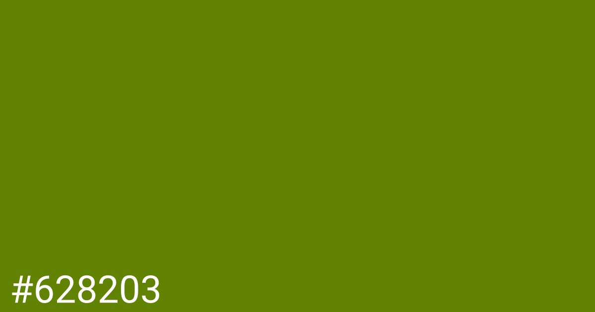 Hex color #628203 graphic