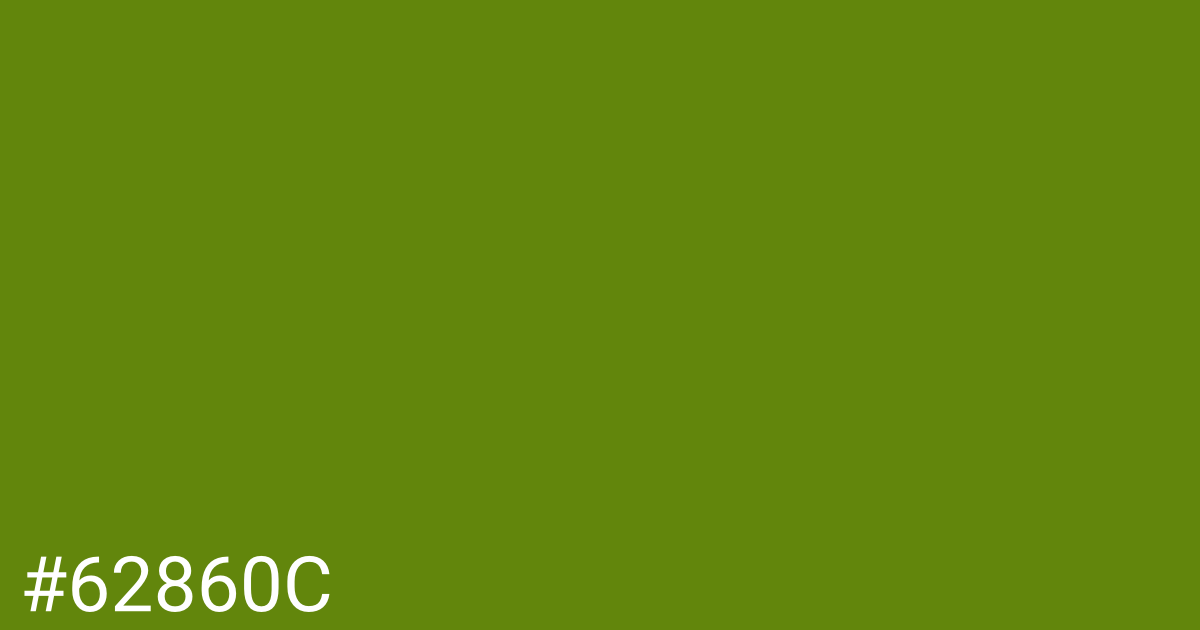 Hex color #62860c graphic