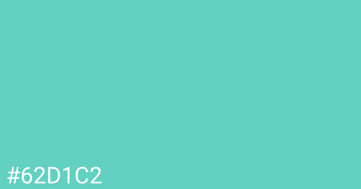 Hex color #62d1c2 graphic