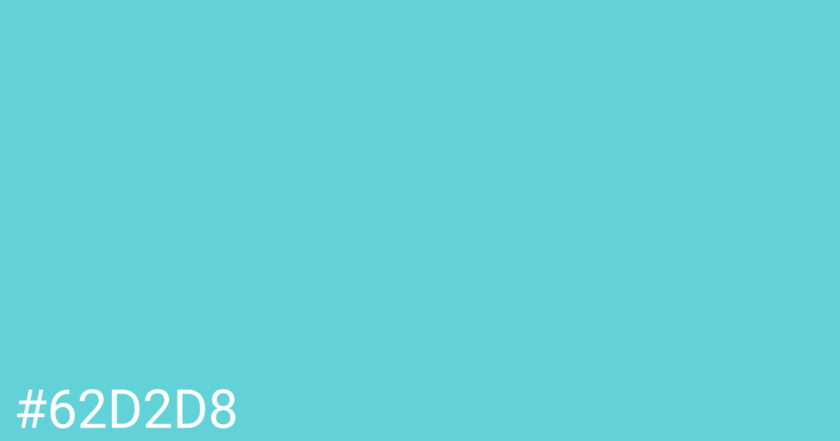 Hex color #62d2d8 graphic