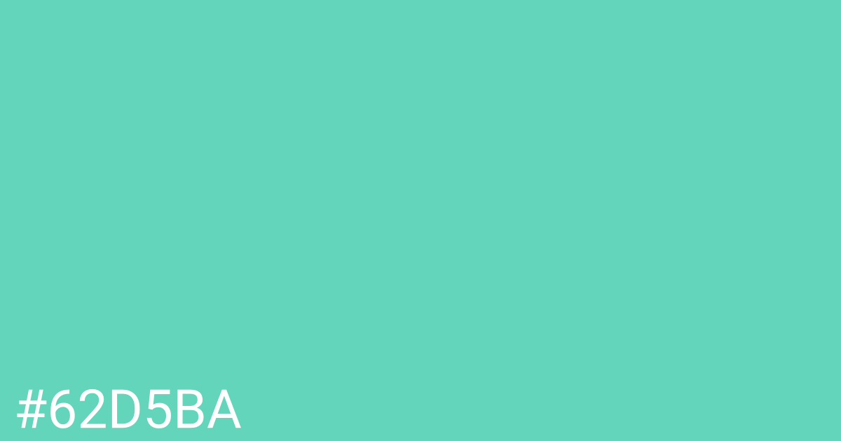 Hex color #62d5ba graphic