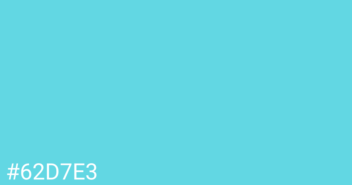 Hex color #62d7e3 graphic