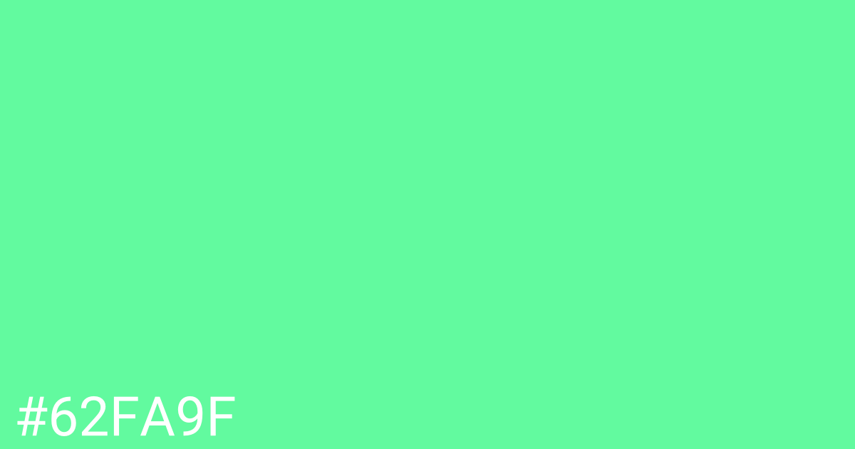 Hex color #62fa9f graphic