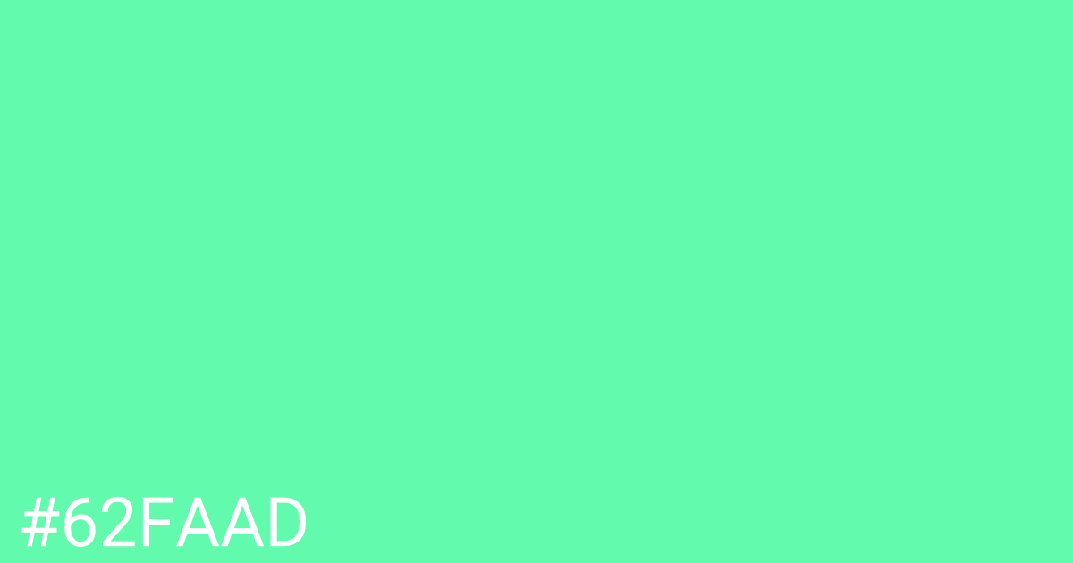 Hex color #62faad graphic