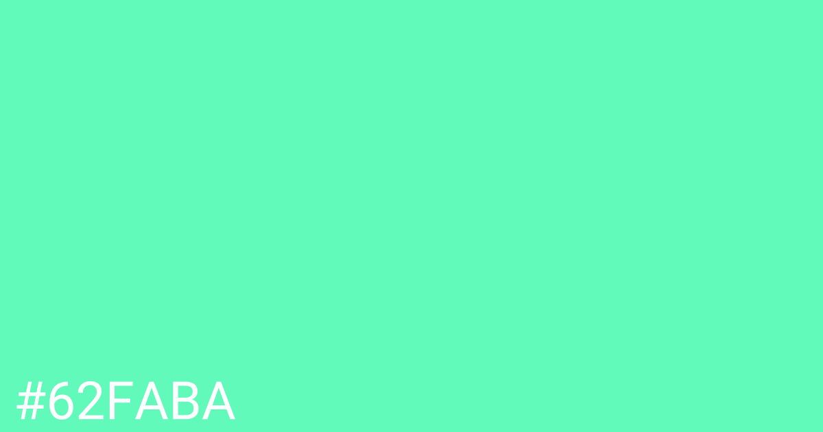 Hex color #62faba graphic