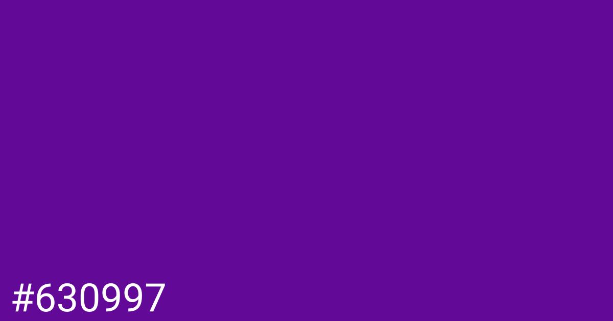 Hex color #630997 graphic