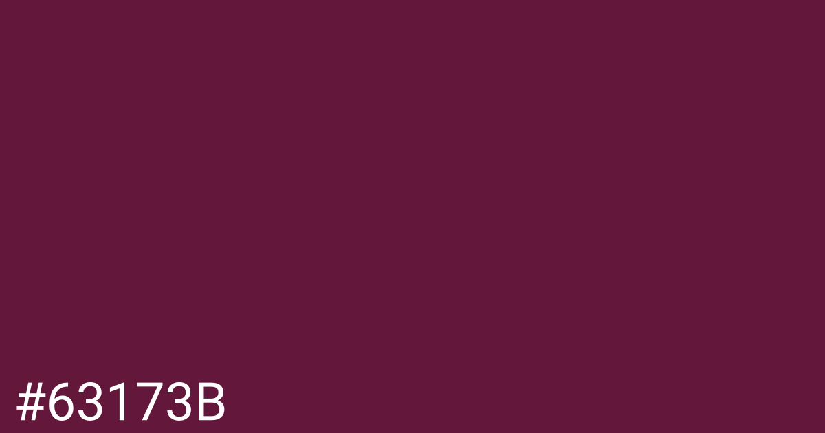 Hex color #63173b graphic