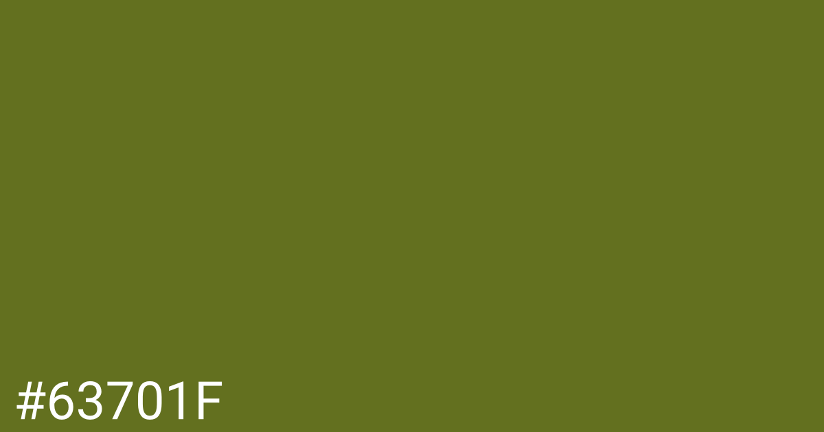 Hex color #63701f graphic