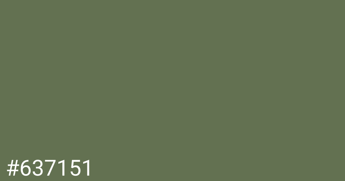 Hex color #637151 graphic