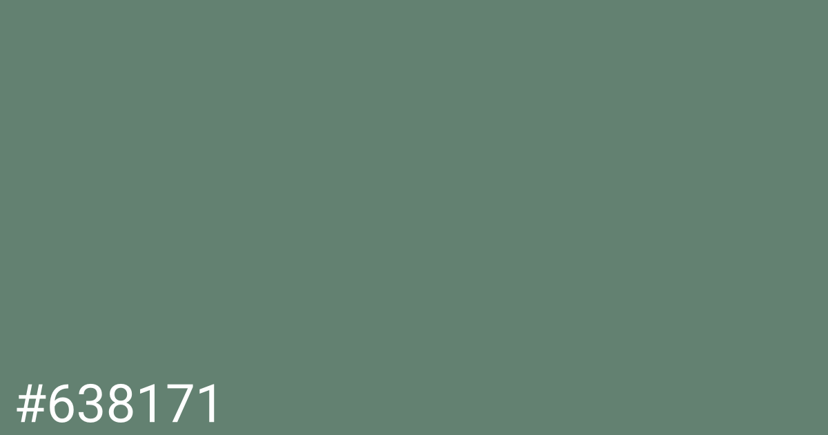 Hex color #638171 graphic