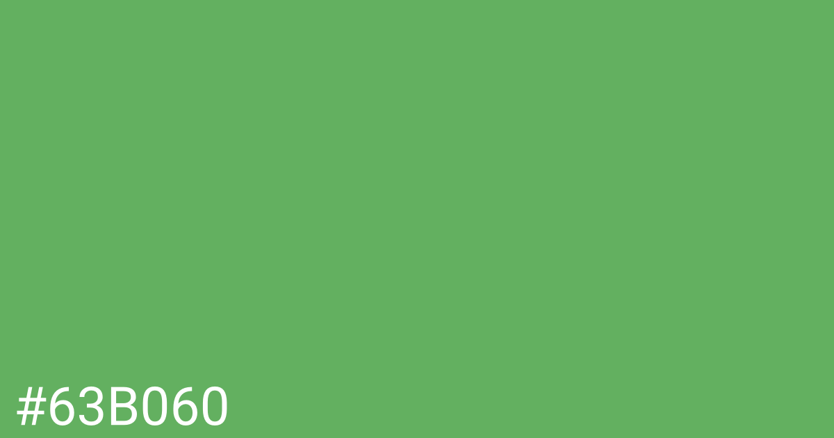 Hex color #63b060 graphic