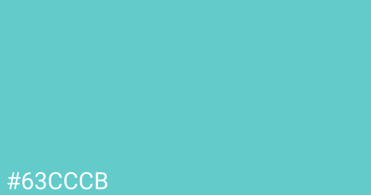 Hex color #63cccb graphic