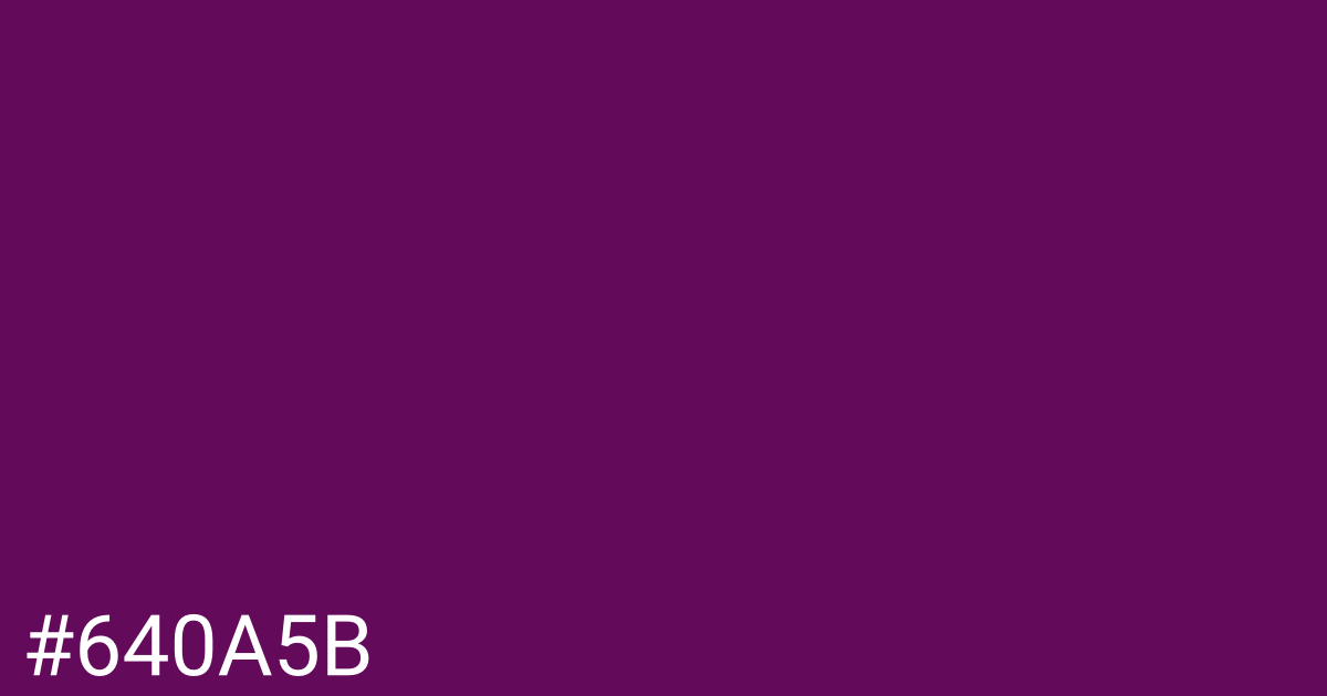 Hex color #640a5b graphic