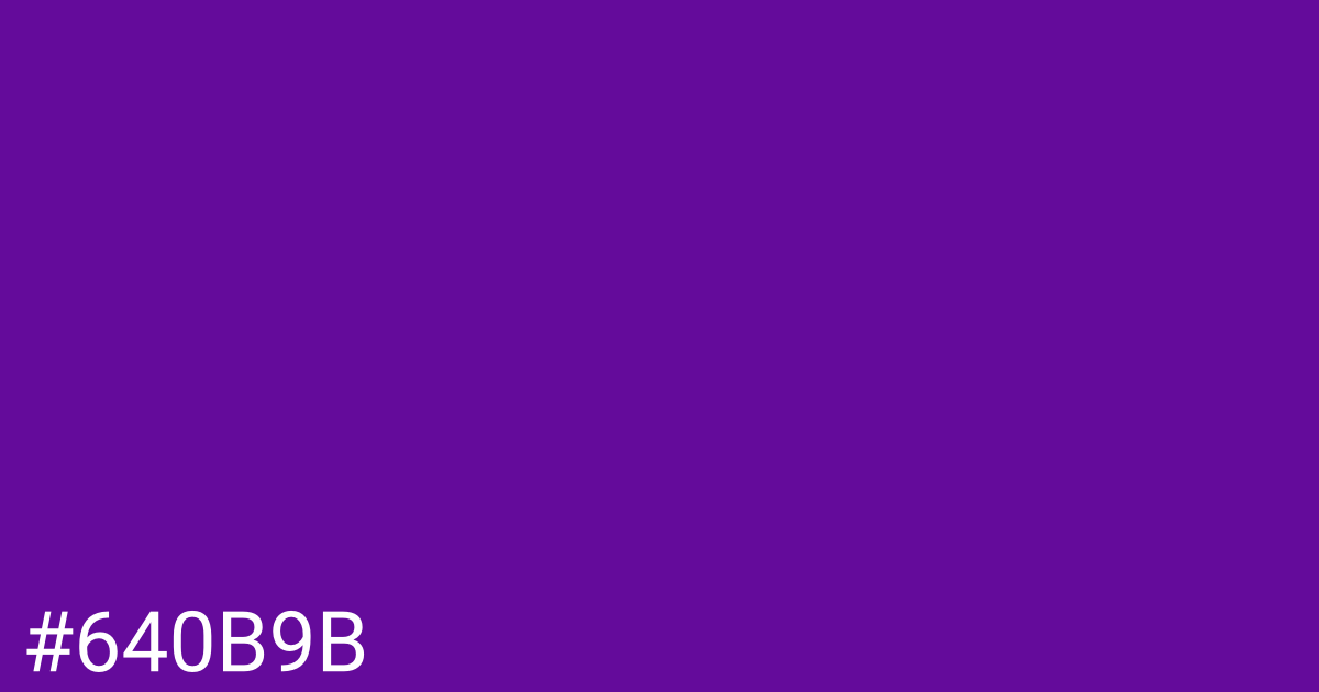 Hex color #640b9b graphic