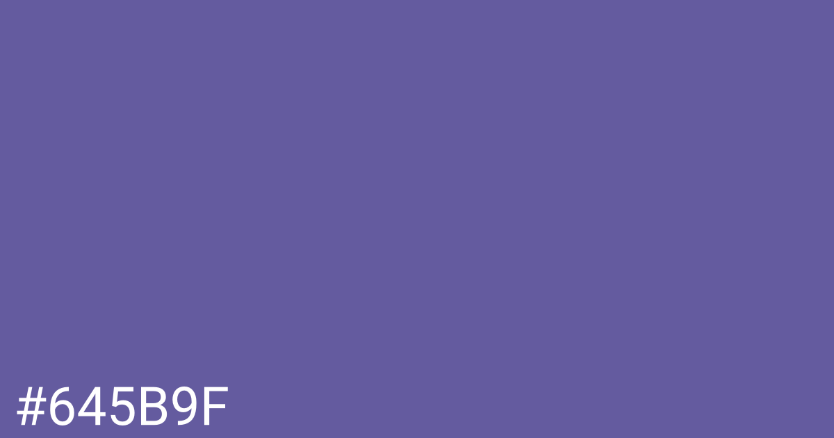 Hex color #645b9f graphic