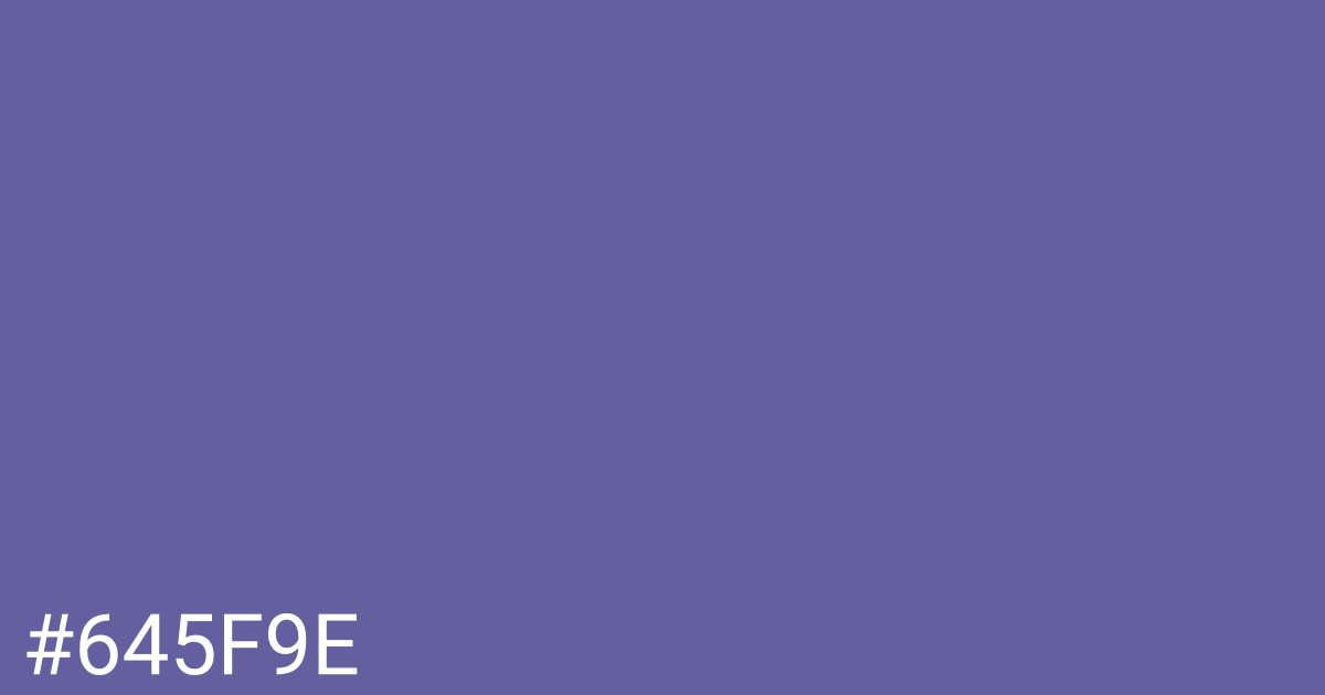 Hex color #645f9e graphic