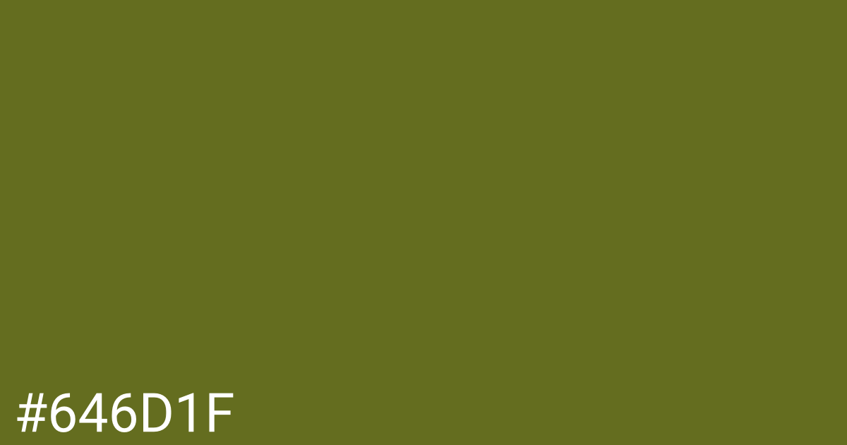 Hex color #646d1f graphic