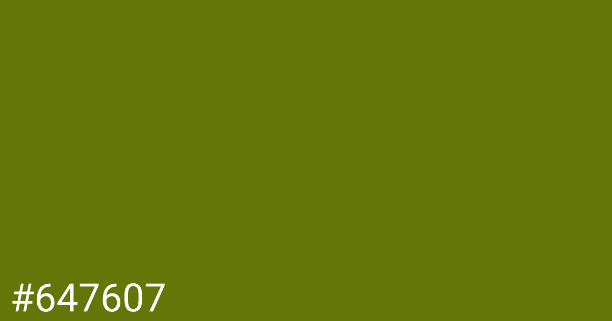 Hex color #647607 graphic