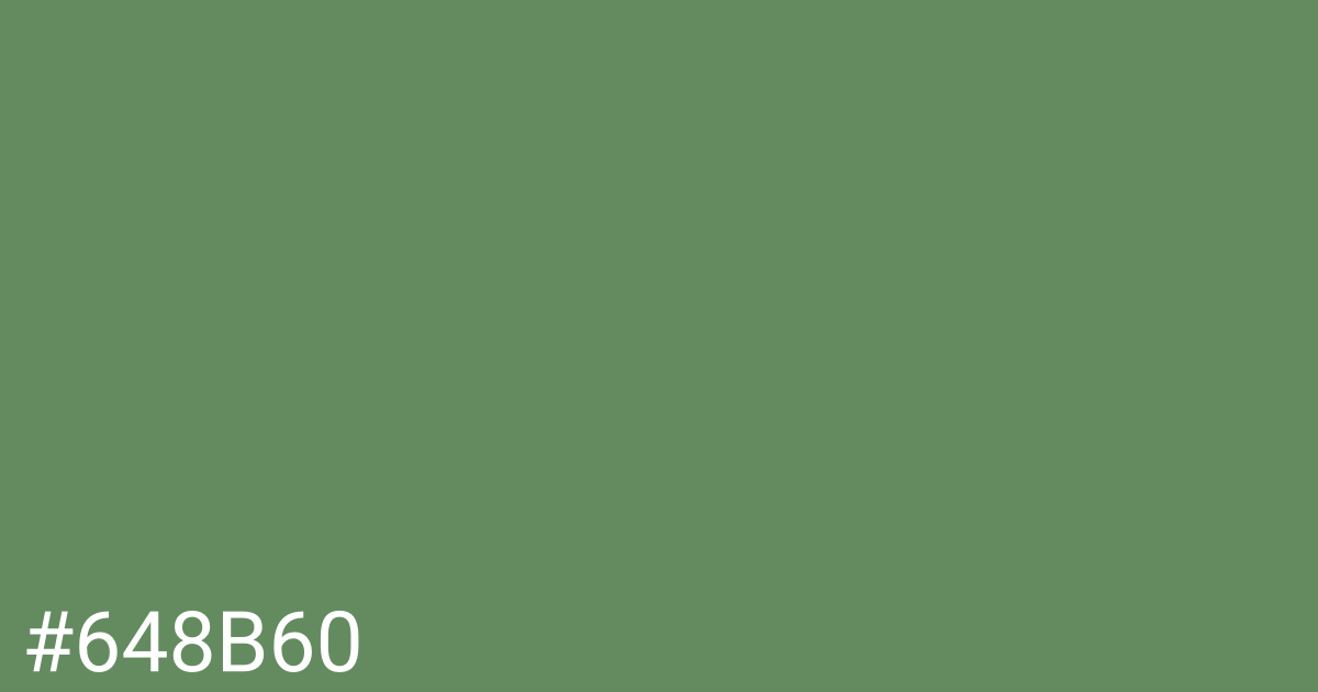 Hex color #648b60 graphic