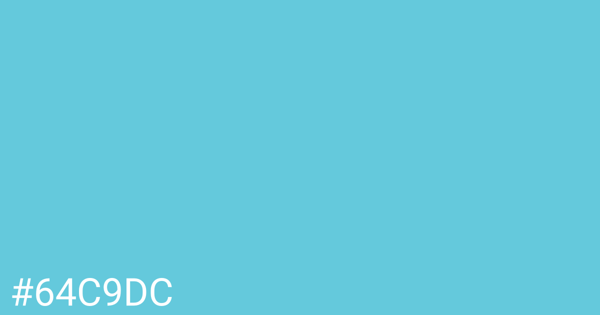 Hex color #64c9dc graphic