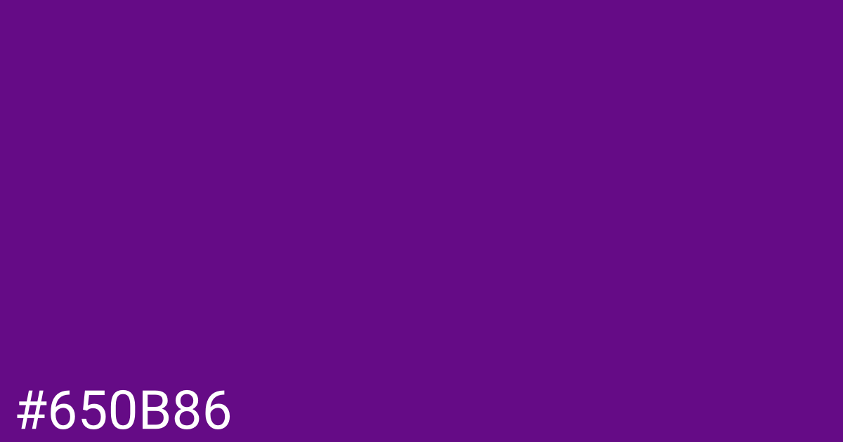 Hex color #650b86 graphic