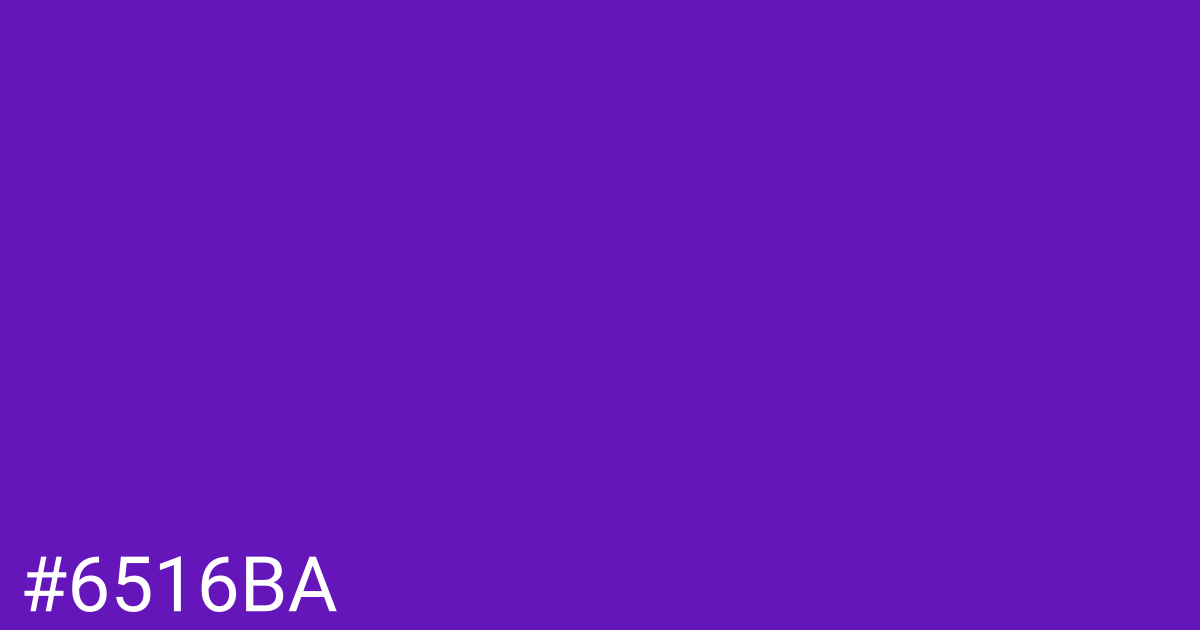 Hex color #6516ba graphic